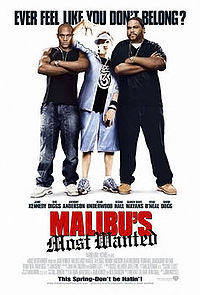 Разыскивается в Малибу / Malibu's Most Wanted