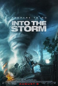 Навстречу шторму / Into the Storm